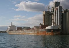 Thumbnail Image for Birchglen