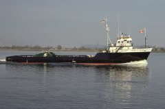 Thumbnail Image for Pierre Le Grand