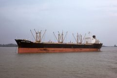 Thumbnail Image for Southern Merchant