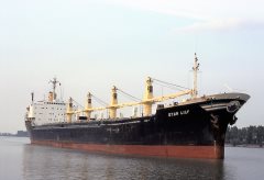 Thumbnail Image for Star Lily