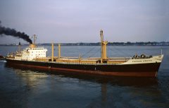 Thumbnail Image for Stephanos Vergottis