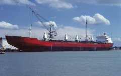 Thumbnail Image for Arctic