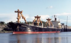 Thumbnail Image for Armeria