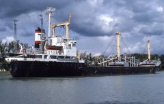 Thumbnail Image for Suzeric