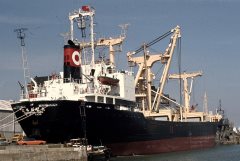 Thumbnail Image for Tachibana Maru