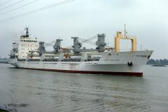 Thumbnail Image for Tilia Gorthon