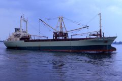 Thumbnail Image for Viggo Scan oncontextmenu=