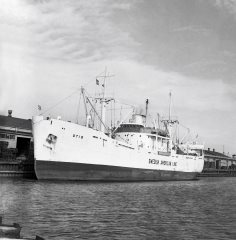 Thumbnail Image for Otis style=