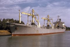 Thumbnail Image for Anangel Glory oncontextmenu=