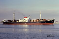 Thumbnail Image for Caribbean Flower