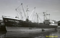 Thumbnail Image for Caribbean Tiuna