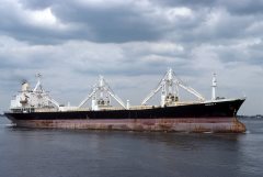 Thumbnail Image for Caroline P.