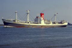 Thumbnail Image for City of Delhi