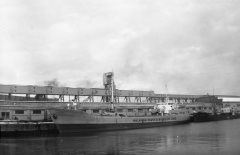 Thumbnail Image for Ciandra oncontextmenu=