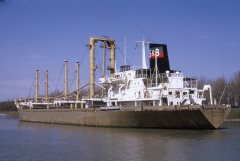 Thumbnail Image for Ilse Schulte oncontextmenu=