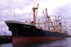 Thumbnail Image for Katsura Maru