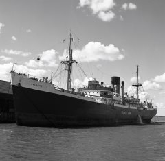 Thumbnail Image for Palermo