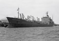 Thumbnail Image for Delchim Dauphine oncontextmenu=