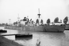 Thumbnail Image for Dromon