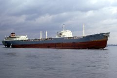 Thumbnail Image for Resolute Colocotronis