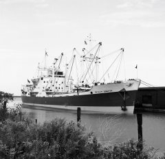 Thumbnail Image for Phyllis Bowater oncontextmenu=