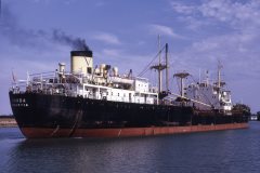 Thumbnail Image for Vanda oncontextmenu=