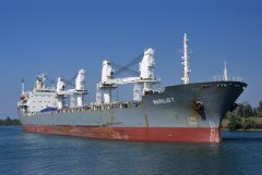 Thumbnail Image for Marilis T oncontextmenu=