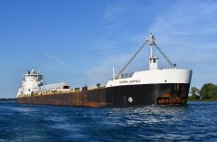 Thumbnail Image for Algoma Buffalo oncontextmenu=