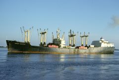 Thumbnail Image for Export Courier