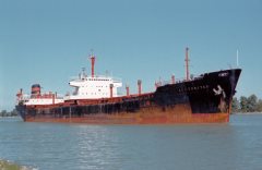 Thumbnail Image for Auctoritas