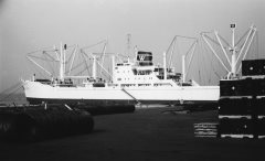 Thumbnail Image for Augvald