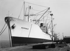 Thumbnail Image for Augvald