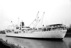 Thumbnail Image for Augvald