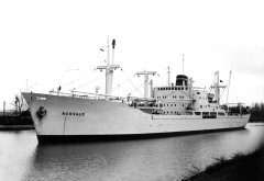 Thumbnail Image for Augvald