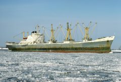 Thumbnail Image for Fei Teng oncontextmenu=