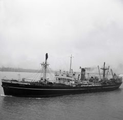 Thumbnail Image for Pine Hill oncontextmenu=