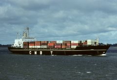 Thumbnail Image for Fionia oncontextmenu=