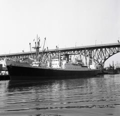 Thumbnail Image for Pinemore oncontextmenu=