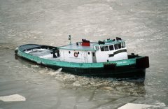 Thumbnail Image for Susan Hoey