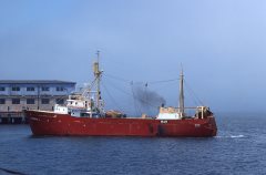 Thumbnail Image for Brandal oncontextmenu=