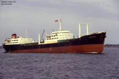 Thumbnail Image for British Kiwi