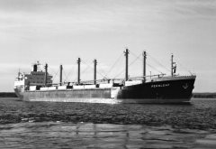 Thumbnail Image for Fernleaf