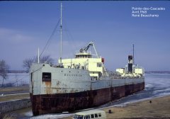 Thumbnail Image for Bulkarier oncontextmenu=