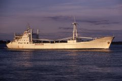 Thumbnail Image for Mardina Merchant oncontextmenu=