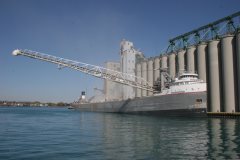 Thumbnail Image for Mississagi