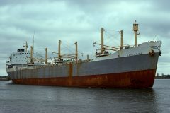 Thumbnail Image for Marigo M.F.