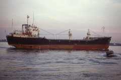 Thumbnail Image for Marigo oncontextmenu=