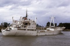 Thumbnail Image for Mardina Reefer oncontextmenu=