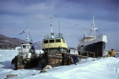 Thumbnail Image for D. Lauder oncontextmenu=