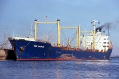 Thumbnail Image for Navi Champion oncontextmenu=